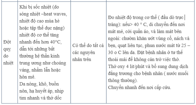 Nắng nóng gay gắt: Cảnh báo nguy cơ gia tăng ung thư, nhất là 2 bệnh ung thư sau - Ảnh 7.