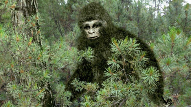 Người đàn ông gửi lông Bigfoot cho FBI đòi phân tích, 40 năm sau mới nhận được đáp án lúc gần đất xa trời - Ảnh 1.