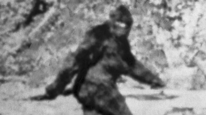Người đàn ông gửi lông Bigfoot cho FBI đòi phân tích, 40 năm sau mới nhận được đáp án lúc gần đất xa trời - Ảnh 2.