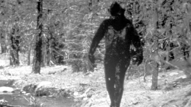 Người đàn ông gửi lông Bigfoot cho FBI đòi phân tích, 40 năm sau mới nhận được đáp án lúc gần đất xa trời - Ảnh 4.