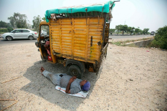 Nắng nóng gay gắt ở Ấn Độ: Đâm chết nhau vì tranh nước, hổ bỏ rừng vào làng tìm nguồn nước - Ảnh 7.