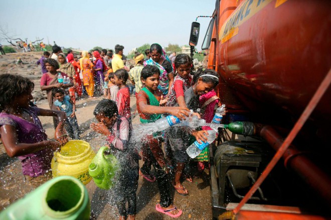 Nắng nóng gay gắt ở Ấn Độ: Đâm chết nhau vì tranh nước, hổ bỏ rừng vào làng tìm nguồn nước - Ảnh 8.