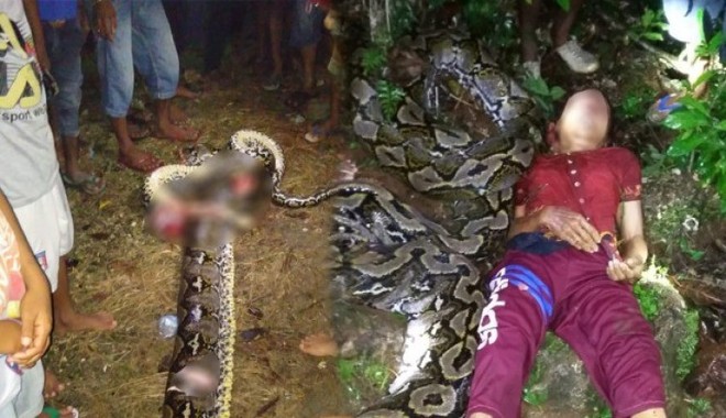 Trăn khổng lồ tấn công, siết chết người phụ nữ ở Indonesia - Ảnh 1.