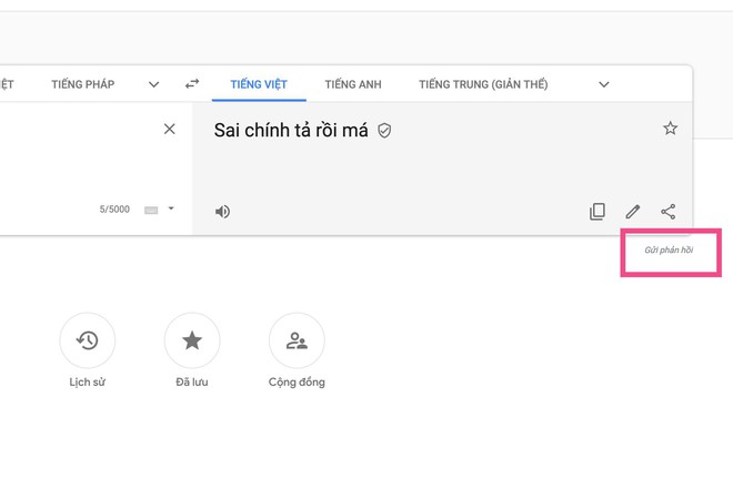 Google Dịch tiếng Việt đang bị phá hoại để truyền tải từ ngữ dung tục - Ảnh 2.
