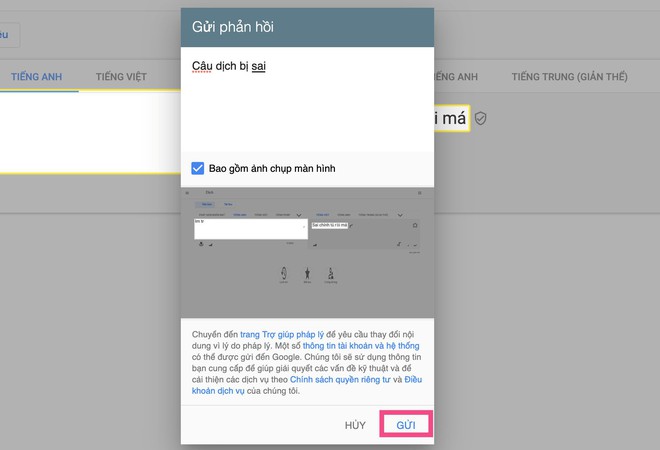Google Dịch tiếng Việt đang bị phá hoại để truyền tải từ ngữ dung tục - Ảnh 3.