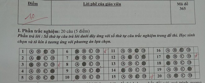 Bàn tay vàng trong làng khoanh lụi: Thi trắc nghiệm đánh câu nào sai ngay câu đó - Ảnh 3.