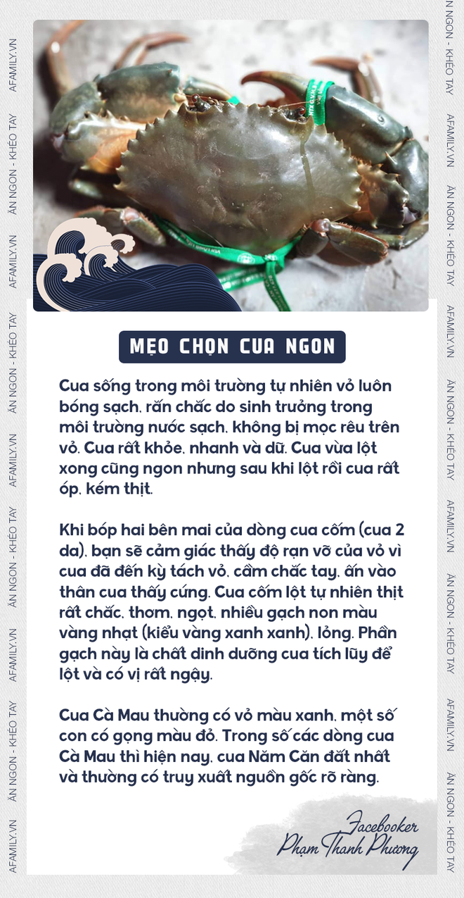 Xem ngay mẹo chọn cua của “chuyên gia” để không bị phí tiền vì mua phải cua óp thịt kém tươi - Ảnh 3.