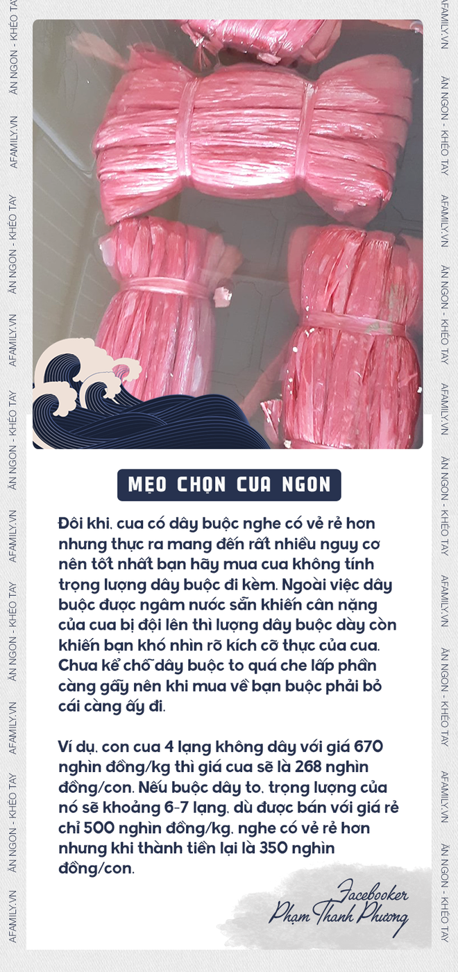 Xem ngay mẹo chọn cua của “chuyên gia” để không bị phí tiền vì mua phải cua óp thịt kém tươi - Ảnh 6.