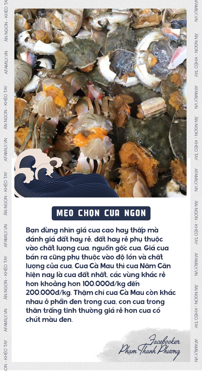 Xem ngay mẹo chọn cua của “chuyên gia” để không bị phí tiền vì mua phải cua óp thịt kém tươi - Ảnh 7.