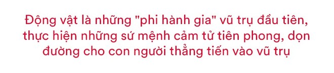 Chiến lược vũ trụ 2.0 kinh điển nhất thời đại: Đưa nhân loại trở thành loài mới - Ảnh 4.