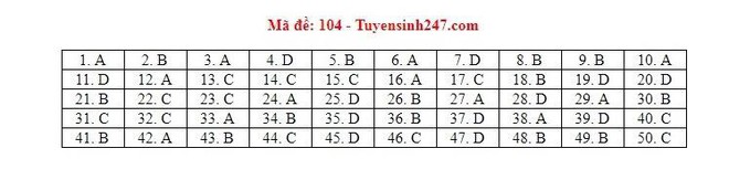 Cập nhật đáp án thi môn Toán THPT Quốc gia 2019 tất cả các mã đề - Ảnh 3.