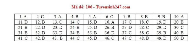 Cập nhật đáp án thi môn Toán THPT Quốc gia 2019 tất cả các mã đề - Ảnh 7.