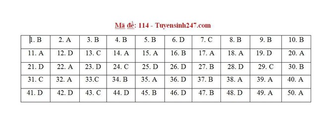 Cập nhật đáp án thi môn Toán THPT Quốc gia 2019 tất cả các mã đề - Ảnh 6.