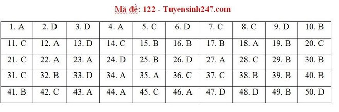 Cập nhật đáp án thi môn Toán THPT Quốc gia 2019 tất cả các mã đề - Ảnh 5.