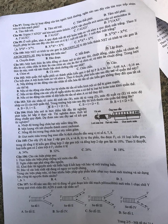 Cập nhật gợi ý đáp án thi môn Sinh học THPT Quốc gia 2019 - tất cả 24 mã đề - Ảnh 4.