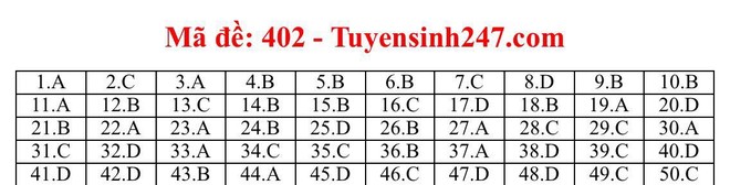 Cập nhật gợi ý đáp án môn tiếng Anh THPT Quốc gia 2019 tất cả 24 mã đề - Ảnh 1.