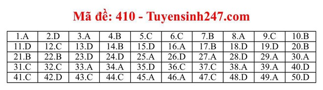 Cập nhật gợi ý đáp án môn tiếng Anh THPT Quốc gia 2019 tất cả 24 mã đề - Ảnh 2.