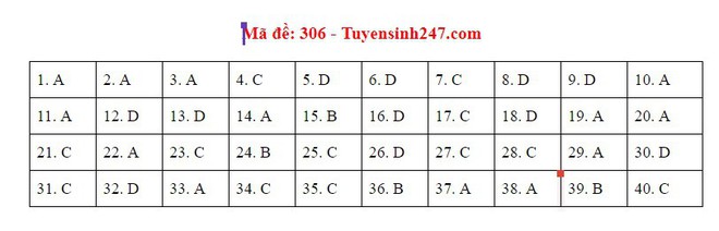 Cập nhật gợi ý đáp án thi môn Lịch sử THPT Quốc gia 2019 tất cả các mã đề - Ảnh 9.