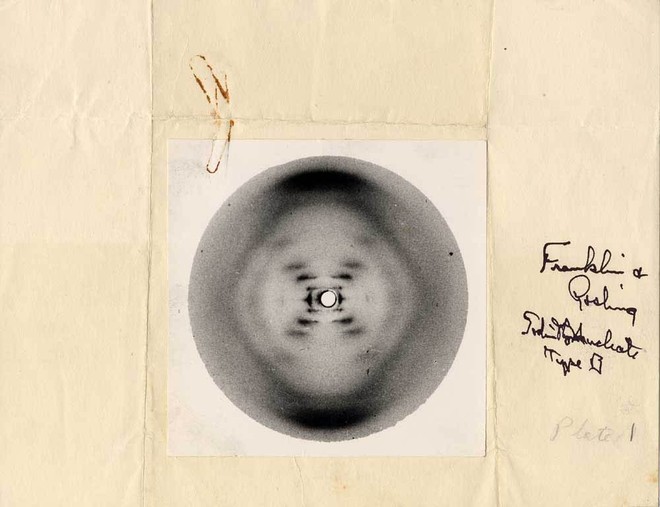 Rosalind Franklin: Người đặt nền móng tìm ra “bí mật sự sống” nhưng bị bỏ quên - Ảnh 1.