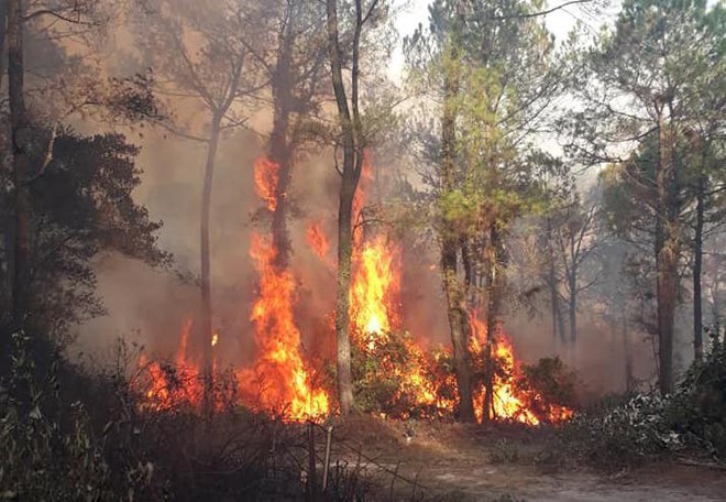 Bắt giam người đàn ông gây vụ cháy rừng lớn nhất Hà Tĩnh suốt 4 ngày - Ảnh 2.