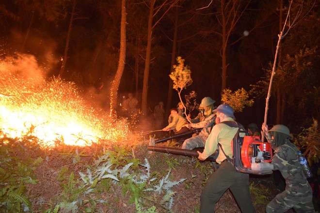 Toàn cảnh vụ cháy rừng thông lớn nhất Hà Tĩnh, di dời tài sản cả trăm hộ dân - Ảnh 15.