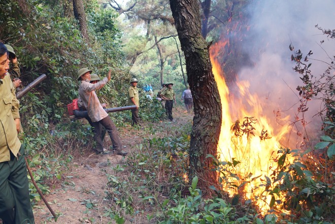 Gã đàn ông đốt rác gây cháy rừng kinh hoàng ở Hà Tĩnh bị phạt 84 tháng tù, đền hơn 3 tỷ đồng - Ảnh 3.