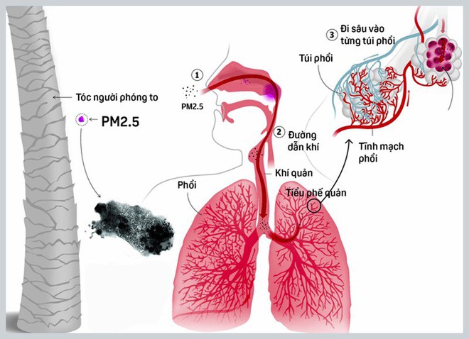 Một ngày lang thang đếm bụi ở Hà Nội: Cảnh báo “màu cam” phủ khắp thành phố - Ảnh 1.