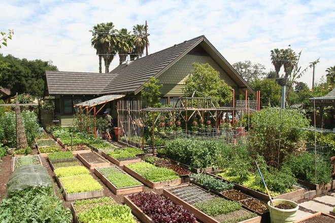 Gia đình nhiều thế hệ chung sống hạnh phúc bên ngôi nhà yên bình cùng mảnh vườn trồng rau quả sạch rộng 4000m² - Ảnh 1.