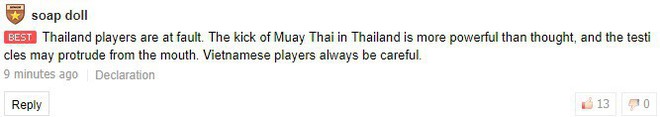 Fan Hàn Quốc rợn người khi chứng kiến cầu thủ Thái Lan vừa đá vừa đánh người, bày tỏ sự lo lắng cho dàn sao Việt Nam - Ảnh 3.