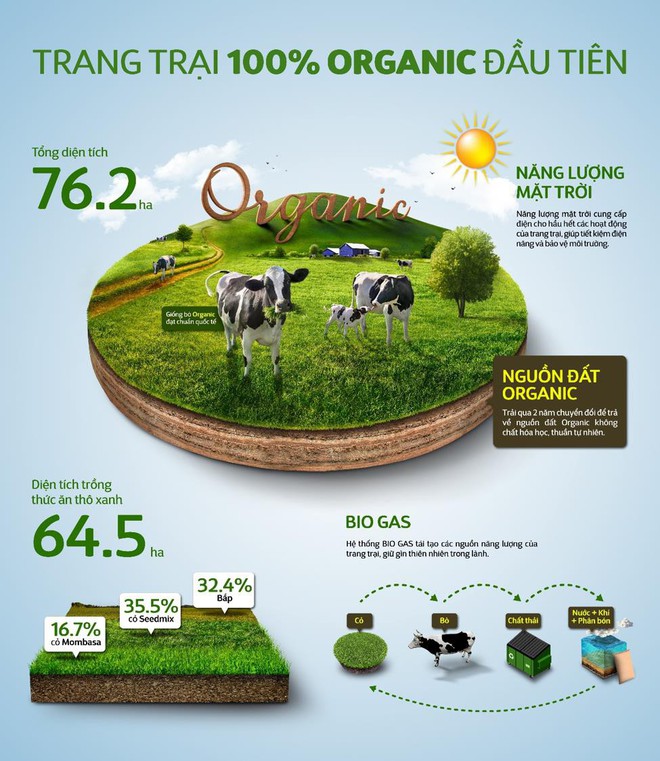 Có một trang trại bò sữa Organic “xanh từ A đến Z” trên cao nguyên Đà Lạt - Ảnh 5.