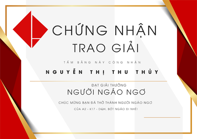 Quậy nhất lớp cũng được bằng khen tự thiết kế, học sinh Hưng Yên khiến cả dân mạng trầm trồ - Ảnh 4.