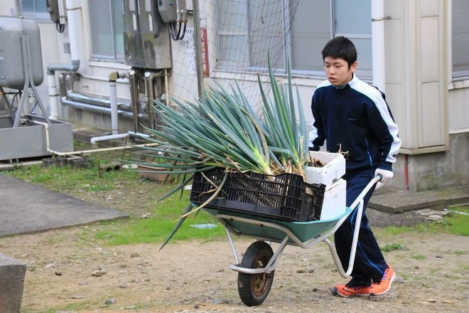 Trường học cô đơn nhất Nhật Bản: Mở cửa chỉ để đón 1 nam sinh, ngày cậu ấy tốt nghiệp trường cũng đóng cửa luôn - Ảnh 5.