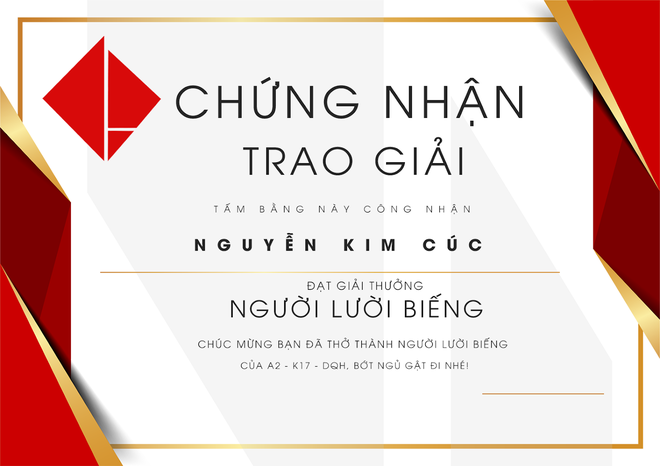 Quậy nhất lớp cũng được bằng khen tự thiết kế, học sinh Hưng Yên khiến cả dân mạng trầm trồ - Ảnh 6.