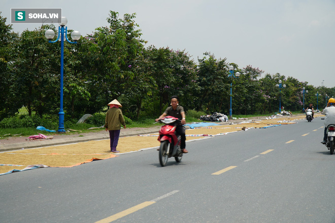 Cận cảnh đường dẫn lên cây cầu đẹp nhất Việt Nam bị người dân Hà Nội hô biến thành nơi phơi thóc - Ảnh 9.