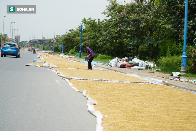 Cận cảnh đường dẫn lên cây cầu đẹp nhất Việt Nam bị người dân Hà Nội hô biến thành nơi phơi thóc - Ảnh 4.