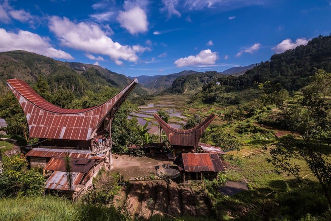 Bộ lạc văn minh nhưng có tập tục mai táng kỳ lạ nhất thế giới: Sống chung với thi thể đến khi nào con cháu đủ tiền tỷ làm đám ma thì chôn - Ảnh 20.