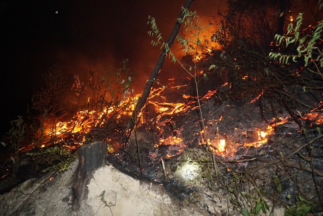Hơn 500 người trắng đêm vừa sơ tán tài sản cho dân vừa dập lửa cứu rừng - Ảnh 5.