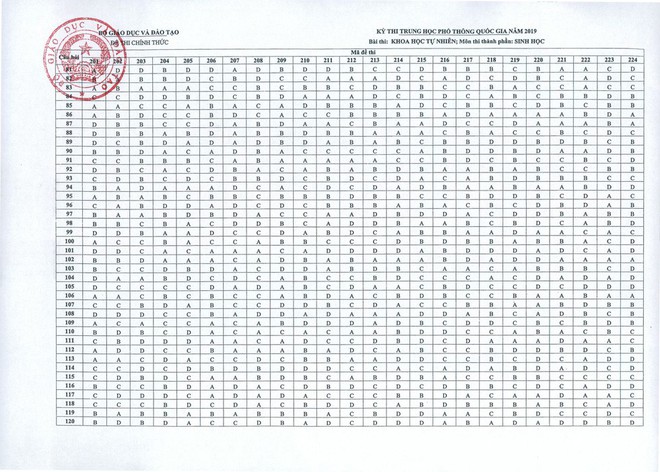 [NÓNG] Đáp án chính thức tất cả các môn thi trắc nghiệm THPT Quốc gia 2019 - Ảnh 4.