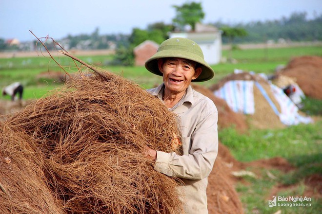 Nghệ An: Về nơi người dân đổ xô vào rừng nhặt thứ lá quý như vàng - Ảnh 6.