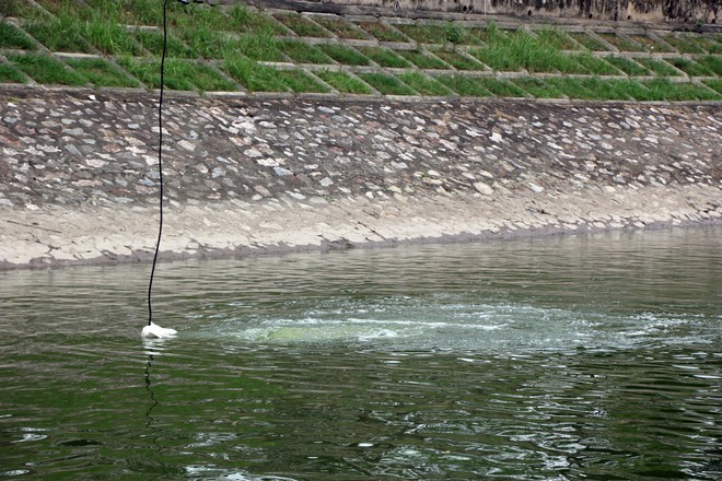 Cận cảnh nước sông Tô Lịch sau 2 ngày hồ Tây mở cửa xả nước - Ảnh 7.