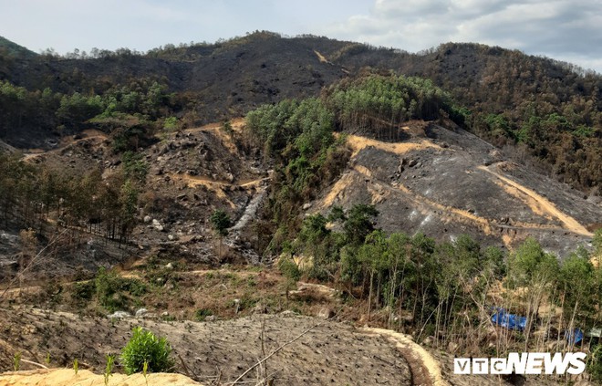 Ảnh: Xót xa rừng Quảng Nam chìm trong biển lửa suốt 22 tiếng, 107 ha keo bị thiêu rụi - Ảnh 4.