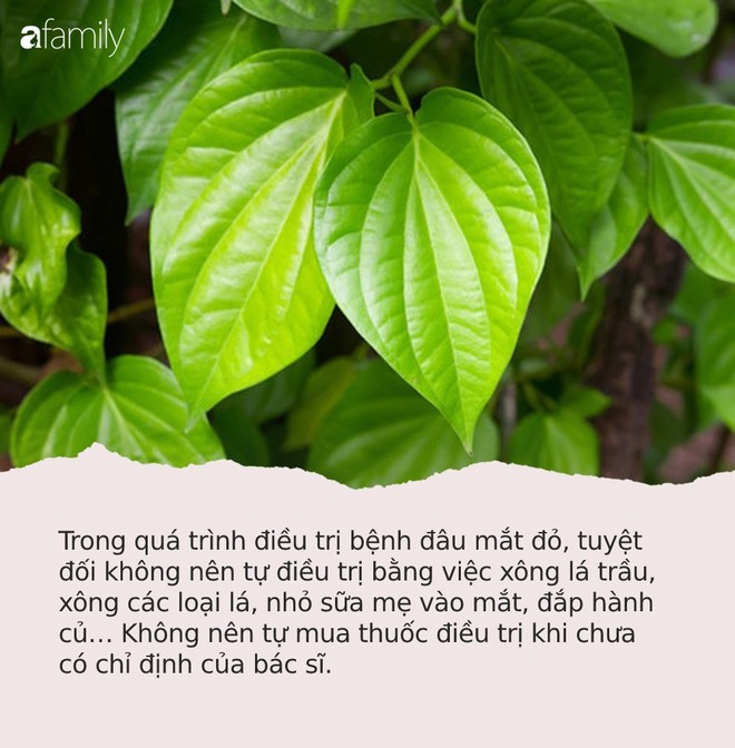 Đau mắt đỏ: Căn bệnh dễ lây mạnh, cần cảnh giác cao trong mùa hè này - Ảnh 2.