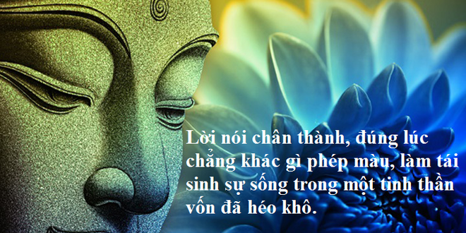 Cùng thi đua bò, một người chiến thắng, một người thất bại: Lý do đằng sau rất đáng ngẫm - Ảnh 5.