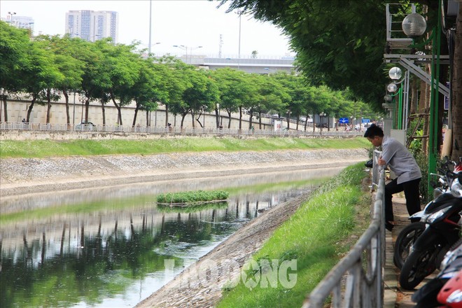 Nước sông Tô Lịch đen trở lại, xuất hiện cá chết trắng nổi lềnh bềnh - Ảnh 12.