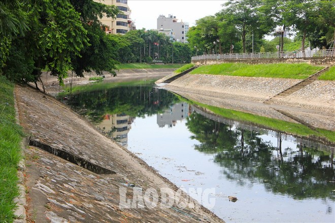 Nước sông Tô Lịch đen trở lại, xuất hiện cá chết trắng nổi lềnh bềnh - Ảnh 3.