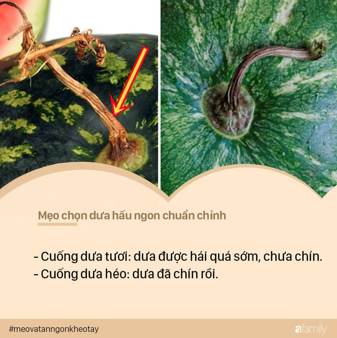 Với 5 bí kíp này, các mẹ nhìn qua cũng biết quả dưa hấu nào ngon chuẩn chỉnh, quả nào nhạt thếch - Ảnh 5.