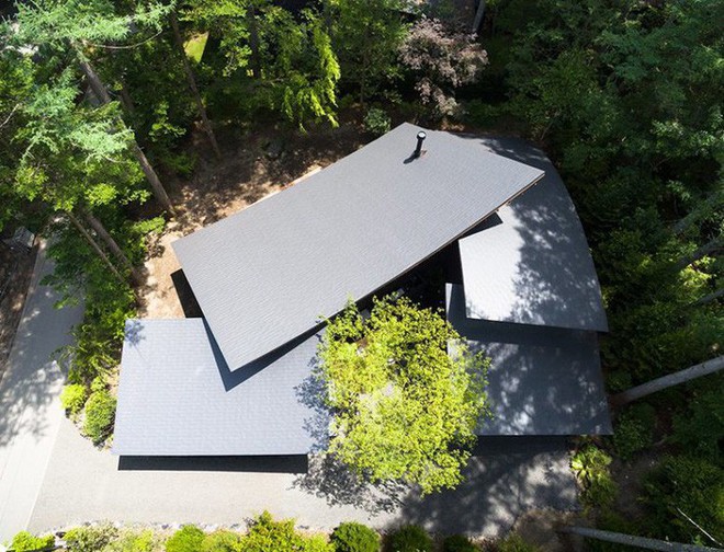Ngôi nhà có phần mái như một chiếc lá khổng lồ nằm giữa rừng cây ở Nhật Bản gây chú ý với vẻ đẹp tối giản - Ảnh 2.