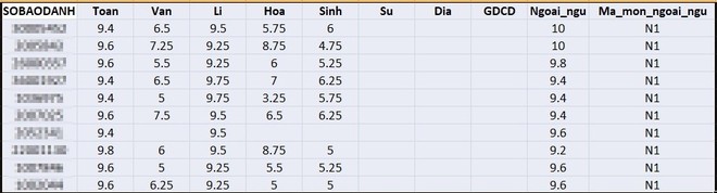 Những thí sinh có tổng điểm thi THPT quốc gia 2019 cao nhất các tổ hợp - Ảnh 2.