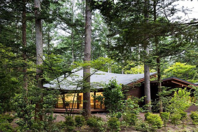 Ngôi nhà có phần mái như một chiếc lá khổng lồ nằm giữa rừng cây ở Nhật Bản gây chú ý với vẻ đẹp tối giản - Ảnh 5.
