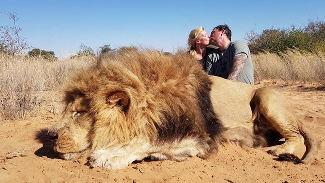 Cặp đôi Canada bị người yêu động vật kịch liệt lên án vì khóa môi bên xác sư tử quý hiếm vừa săn - Ảnh 1.